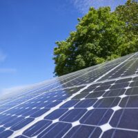 Solarpanele mit Baumkrone und blauem Himmel im Hintergrund.